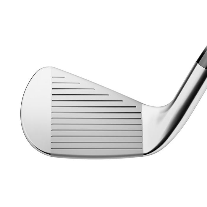 TITLEIST T100 (4-P) Steel Irons