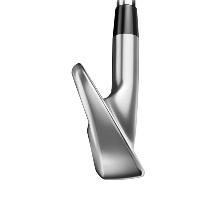 TITLEIST T100 (4-P) Steel Irons