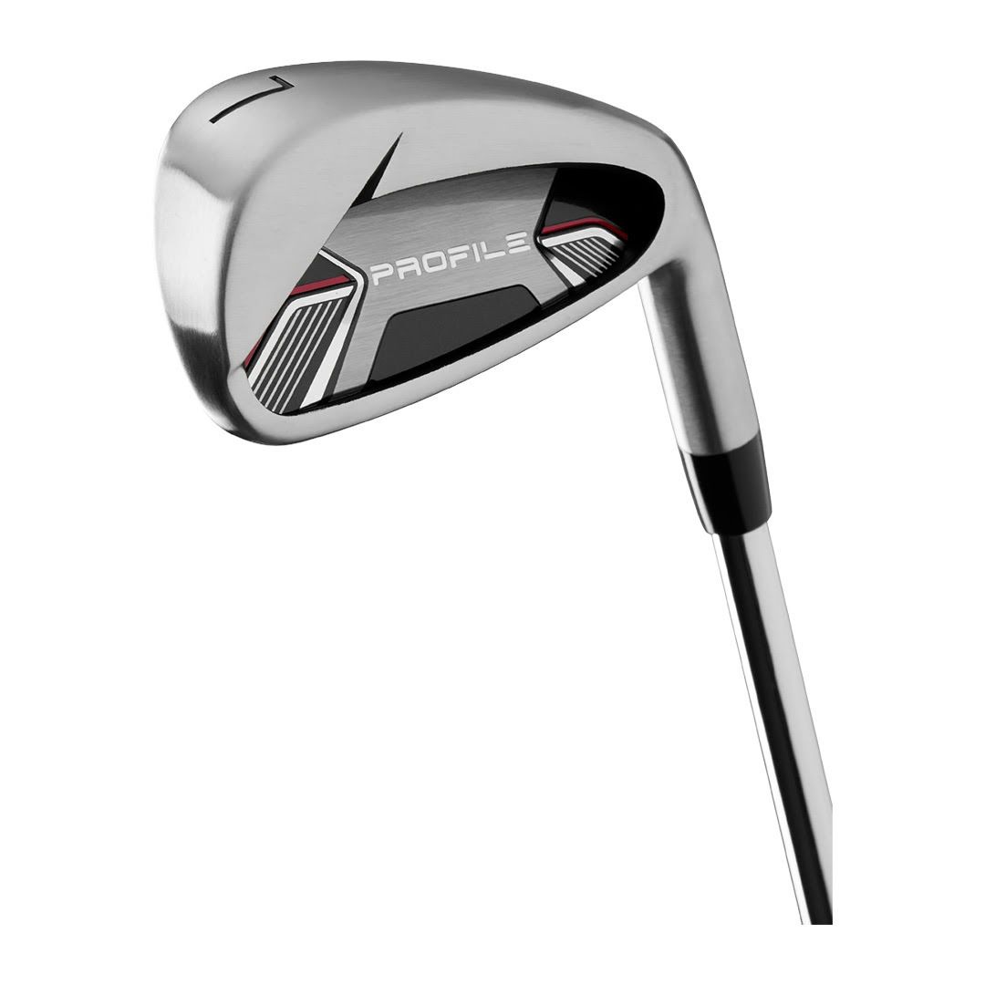 WILSON Men’s Profile Graphite Golf Set - Right Hand - Regular Flex - 10 Clubs + Bag